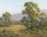 David Chapple, Afternoon eucalyptus