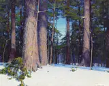 Allen Dean Cochran, Winter light 16 x 20in