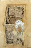 Morris Graves, Composition 18 7/8 x 12 1/2in