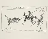 Pablo Picasso, Toros
