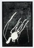 Sigmar Polke, Ohne Titel, 1989, Farbserigrafie auf schwarzem Velourspapier