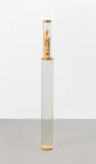 Scirocco by Martin Kippenberger, 1990, Holz, Metall und Nudeln in Plexiglasröhre, sold Nov 2024