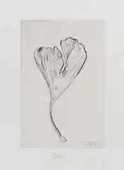 Herbert Zangs, Ohne Titel (Gingkoblatt), Radierung auf Bütten