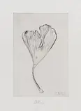 Herbert Zangs, Ohne Titel (Gingkoblatt), Radierung auf Bütten