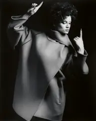 Lisa Lyon by Robert Mapplethorpe, 1982, Gelatinesilberabzug, sold Nov 2024