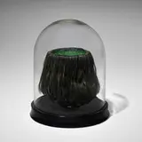 Mike Kelley, Kappa Scalp