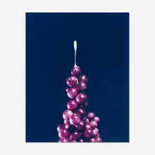 David Benjamin Sherry, Semen & Grapes, 2008, traditional color print