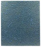 Jason Young, Shot in Blue, 2001, acrylic and resin on wood