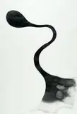 Ernesto Neto, Nhó Nhó