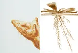 Alexis Rockman, Untitled, 1998; Water Plant, 1996 (2)