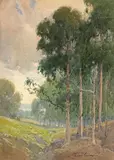 Eucalyptus by a shallow ravine by Percy Gray, pencil and watercolor on paper affixed to board, sold Apr 2009