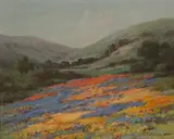 William Franklin Jackson, Wildflowers on a hillside