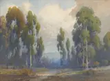 Eucalyptus and clouds by Percy Gray, pencil and watercolor on paper affixed to board, sold Apr 2009