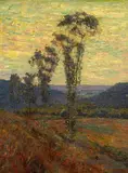 Benjamin Brown, Summer sunset and eucalyptus, oil on canvas