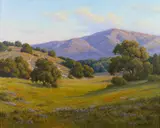 David Chapple, Afternoon shadows