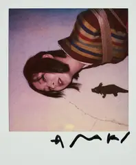 Konvolut von 2 Polaroids by Nobuyoshi Araki, Jeweils: Polaroid, sold Dec 2024