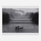 Ernst Haas, Horse and Carriage in Rain