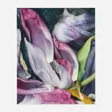 Faiya Fredman, Untitled, 2005-2007, digital pigment print