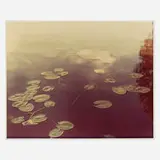 Gretchen Garner, Untitled, 1981, chromogenic print