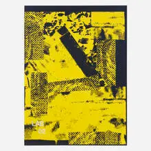 Adam Pendleton, History (Lab 02 Yellow), 2005, screenprint on canvas