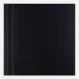 Jeremy Gilbert-Rolfe, Steel-Lined History, 1988, oil, flashe and gesso on panel