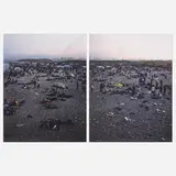 Massimo Vitali, Rosignano Dawn Diptych (from A Portfolio of Landscapes and Figures), 2006, offset lithograph in colors