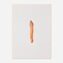 Michael Portnoy, You Gotta Go Deep For Good Sponges (from the Carrot Jokes series), 2011, Epson Aquarel print, wood, glass, electronics, sound recording