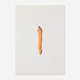Michael Portnoy, You Gotta Go Deep For Good Sponges (from the Carrot Jokes series), 2011, Epson Aquarel print, wood, glass, electronics, sound recording