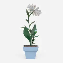James Grashow, Untitled (Houseplant), 1986, wood, carboard and paint