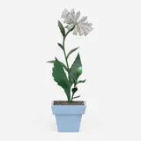 James Grashow, Untitled (Houseplant), 1986, wood, carboard and paint