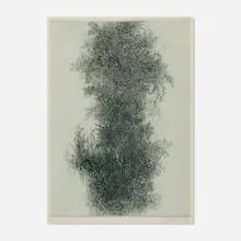 Gabor Peterdi, Wistaria, 1961, color etching and engraving on Arches