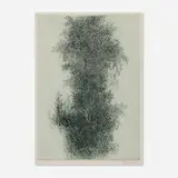 Gabor Peterdi, Wistaria