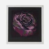 Lowell Nesbitt, Violet Rose, 1982, screenprint in colors