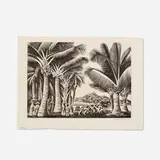 Howard Cook, Coconut Grove (Coconut Palms)