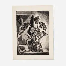 Wanda Gág, Philodendron, 1944, lithograph