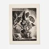 Wanda Gág, Philodendron, 1944, lithograph