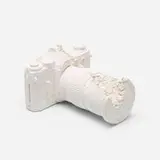 Daniel Arsham, Future Relic 02