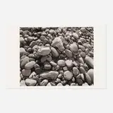 James Welling, Ellwood Beach 25, 2007, inkjet print