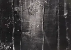 Untitled by Thomas Joshua Cooper, 1976 gelatin silver print, sold Nov 2021