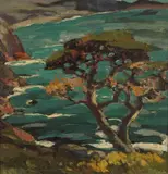 Mary DeNeale Morgan, Seaside Cypress, thought to be Point Lobos