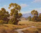 David Chapple, California Eucalyptus