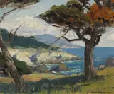 Arthur Hill Gilbert, Monterey Cypress, oil on canvas board