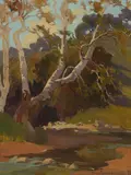 Marion Wachtel, Sycamores by a Stream (No. 40)