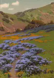 John Marshall Gamble, Wild Heliotrope and Poppies