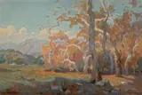 Marion Wachtel, Sycamores near Santa Paula