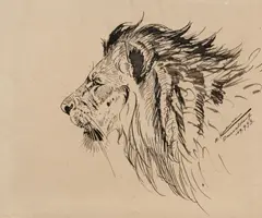 Löwenkopf by Wilhelm Kuhnert, 19.09.1893, Feder und Tusche auf Karton, sold Nov 2024