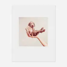 William Wegman, Hand Some, 2001, c-print on Fujicolor Crystal Archive