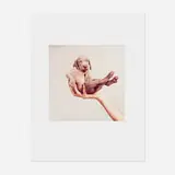 William Wegman, Hand Some