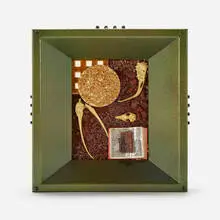 Max Hooper Schneider, Accidental Menagerie sub-9, 2015, mixed media, acrylic tray, polymer resin, aluminum construction, custom hardware