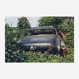 William Eggleston, Untitled (Back of Black Car in Green Vines) (from the Los Alamos portfolio)